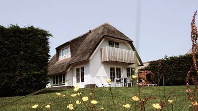 Freistehendes Ferienhaus mit Reetdach auf Texel vom Dutchen Park Waddenduyn