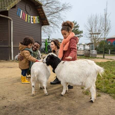 Kinder streicheln die Ziegen im Streichelzoo des Center Parcs Le Lac d'Ailette