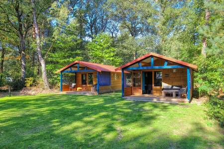 Luxuriöse Blockhütten für 5 Personen auf dem Campingplatz De Berenkuil in Grolloo
