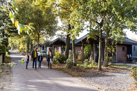 Die Familie geht eine Allee entlang, vorbei an Ferienhäusern im Ferienpark EuroParcs De Wije Werelt