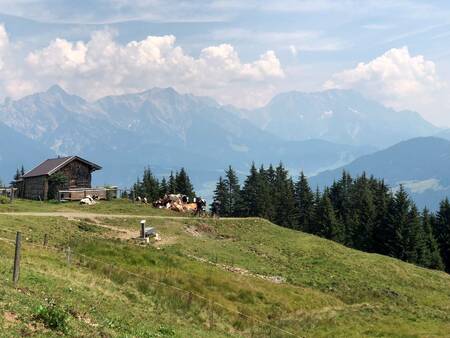 Das Landal Alpen Resort Maria Alm liegt in den wunderschönen Alpen Österreichs