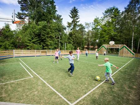 Viel Spaß auf dem multifunktionalen Sportplatz des Ferienparks Landal Heideheuvel