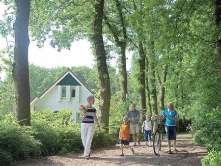 Weg entlang eines Ferienhauses im Ferienpark Landal Landgoed De Elsgraven