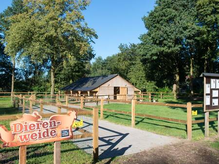 Der Ferienpark Landal Landgoed De Elsgraven verfügt über eine Tierwiese