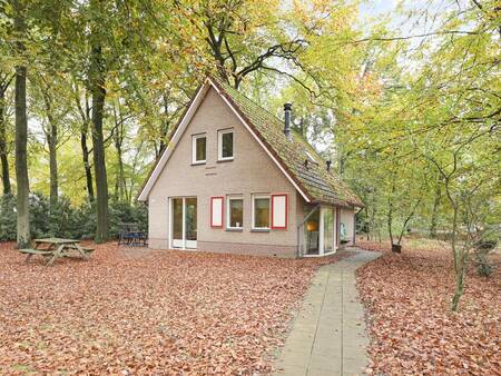 Herbstfoto eines Ferienhauses im Ferienpark Landal Landgoed 't Loo