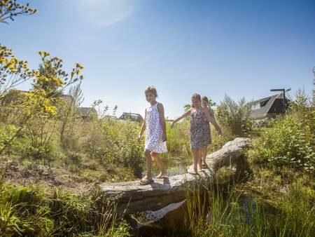 Kinder wandern auf dem Naturerlebnispfad im Ferienpark Landal Orveltermarke