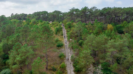 Naturschutzgebiet Schoorlse Duinen in der Nähe von Landal Residence Berger Duinen