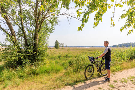 Radfahrer im Naturschutzgebiet Dwingelderveld in der Nähe des Ferienparks RCN De Noordster