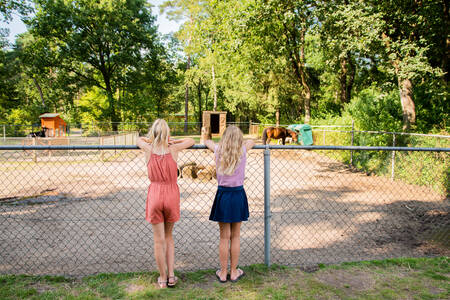 Zwei Mädchen im Zoo des Ferienparks RCN De Noordster