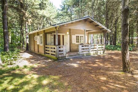 Ferienhaustyp "Forest Lodge" im Wald des Ferienparks RCN de Flaasbloem