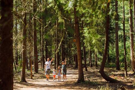 Familienwanderungen durch die Wälder der Veluwe im Ferienpark RCN de Jagerstee
