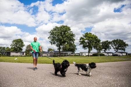 Mann mit Hunden geht vor Ferienhäusern im Ferienpark Topparken Park Westerkogge spazieren