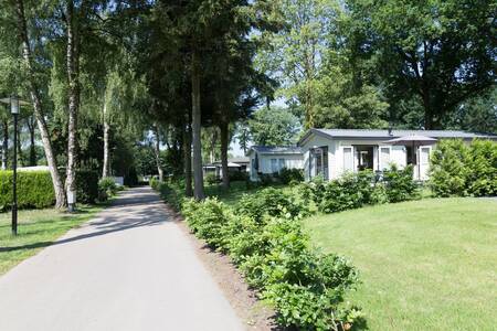 Chalets entlang einer Allee im Ferienpark Topparken Recreatiepark de Wielerbaan