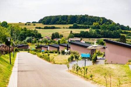 Ferienhäuser entlang einer Allee im Ferienpark Topparken Résidence Valkenburg